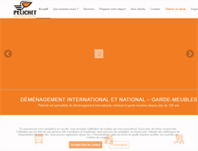 Tablet Screenshot of pelichet.fr